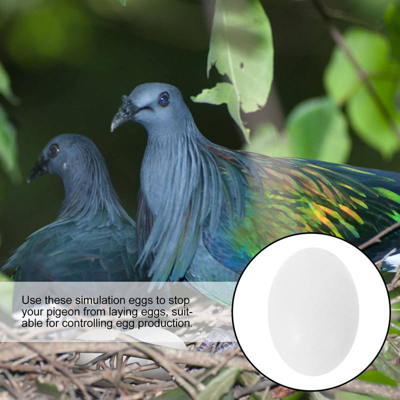30Pcs Solid Plastic Pigeon Eggs Realistic Weight Safe Non Toxic for Egg Pigeon Breeding Aid Simulation Bird