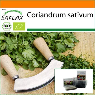 Giardino in Busta - Biologico - Coriandolo - 150 semi - Con substrato in una busta autoportante adatta - Coriandrum sativum