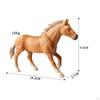 Horse Model Wildlife Figurine Educational Toy for Kids Ages 3-8