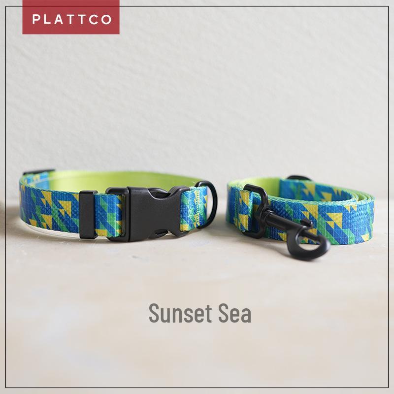 PLATTCO Stylish Faux Nylon Dog Collar & Leash Set with Ring PDC309 S