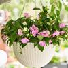 Plastic Imitation Rattan Hanging Pot European Style Macrame Plant Hanger  Garden