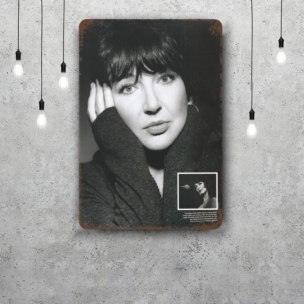 Kate Bush Metal Signs Wall Decor Vintage Tin Signs Captain Metal Poster Decor for Bar Pub Club Wall Decoration
