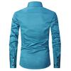 Men's Spring And Business Casual Lapel Long Sleeve Shirt