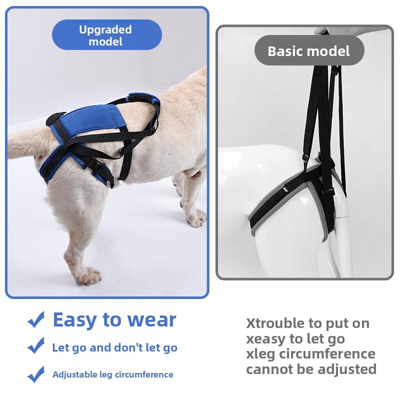 Imbracatura Rinforzata per Zampe Posteriori del Cane Regolabile Elastica Traspirante Guinzaglio Ausiliario di Sollevamento per Cani Feriti Disabili Anziani Camminata Riabilitazione