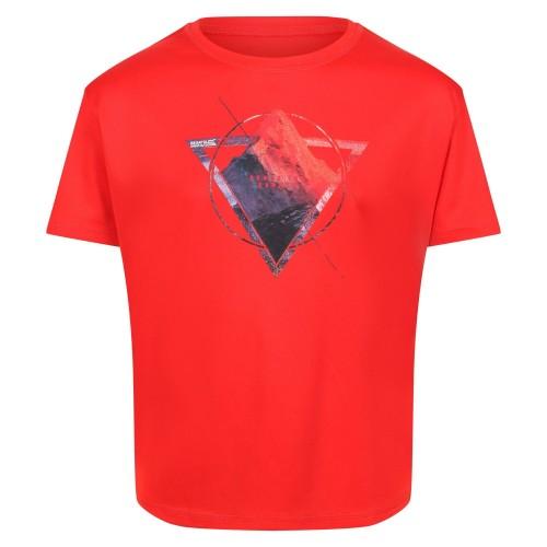 Regatta Childrens/Kids Alvarado VI Mountain T-Shirt