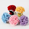 Crocheted Carnation Bag Pendant Ornament Key Rings Holders Unique Handheld Flower Design Creative Gift Decorative 5 Colors
