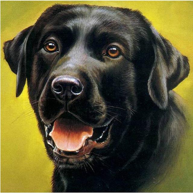 5D DIY Diamond Painting Dog Full Drill Square Diamond Embroidery Animal Needlework Beaded Mosaic Art Handmade Gift