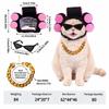 Curl Hair Roller Wig Pet Wig Headgear Lightweight Design Pet Gold Chain Prop  Family Fun Gathering