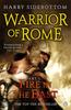 The Warrior of Rome I: Fire In the East Book