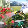 High-Pressure Garden Hose & Car Wash Water Gun