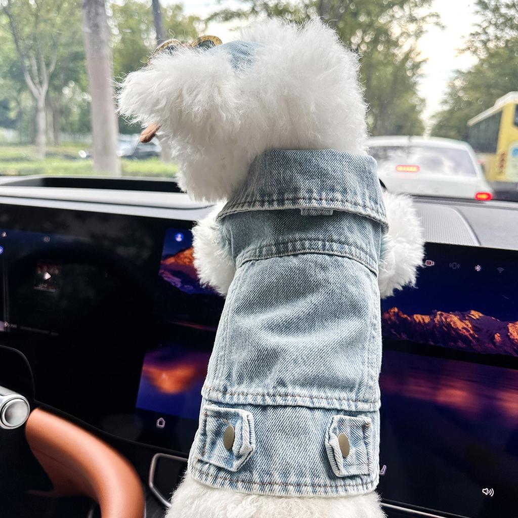 Personalized Custom Name Denim Pet Jacket, Cute Trendy Dog Cat Outfit, Unique Stylish Clothes for Puppies Kittens