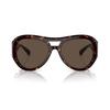 Chanel Doppel-C-Bügel Acetatrahmen unregelmäßige Sonnenbrille Damen braun