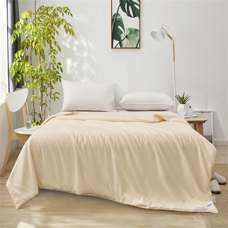 

Huaxia Shengjin All-Season Tussah Silk Quilt