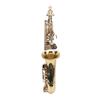 Eb Alto Saxophone Kit Golden Brass Engraving Curved Neck Saxophone Wind Instrument for All Players