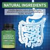 Soursop Graviola Leaf Powder Dietary Supplement Capsules, 1950mg Per Serving, 120 Capsules, Non‑GMO