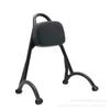 Qianjiang QJ Flash 300S Rear Passenger Backrest and Luggage Rack