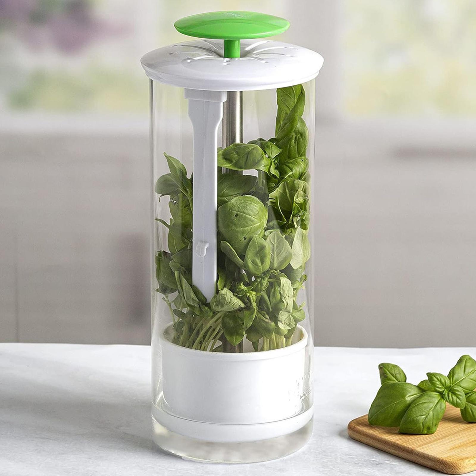 

Herb Fresh-Keeping Box Vegetable Herb Coriander ABS+Stainless Steel Storage Box A