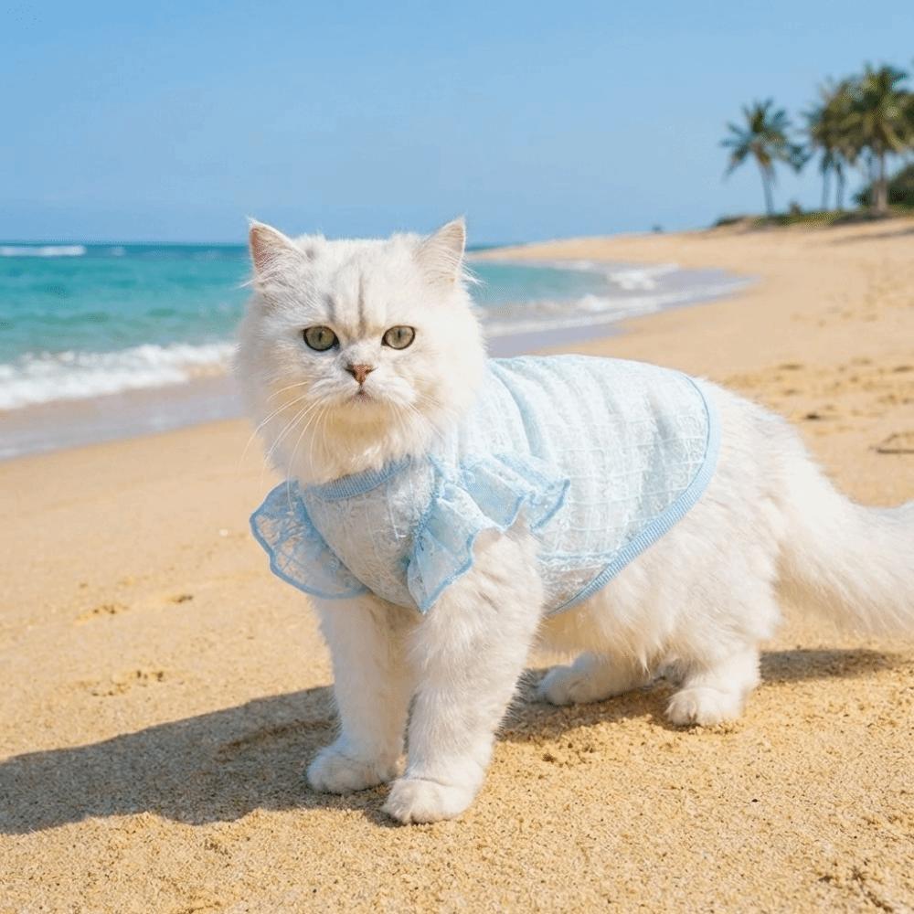 Breathable Dog Cooling Vest Thin Mesh Dog Summer Clothes Sweet Pet T-shirt  Spring Season