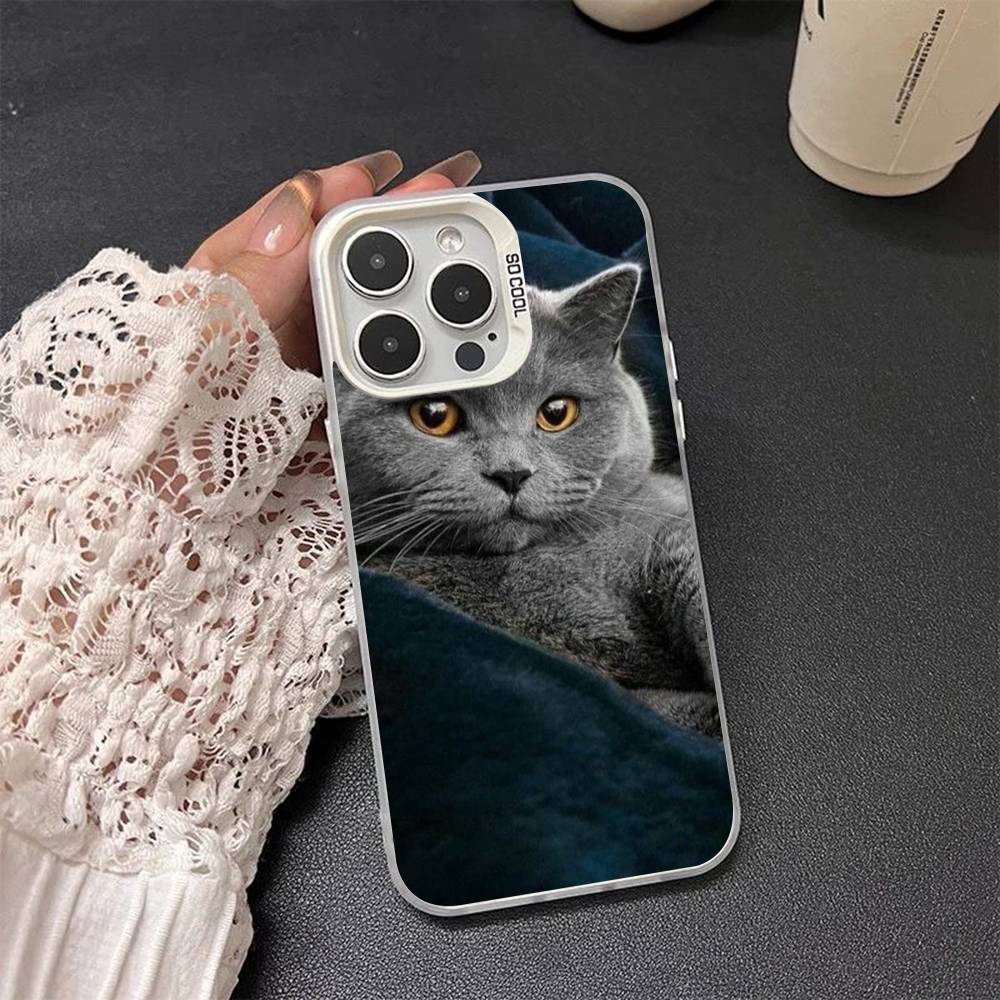 

British shorthair cat Silver Plated Inside Phone Case For iPhone 17 16 15 14 11 12 13 Pro Max Plus X XR XS Max Colored iPhone 16pro max