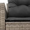 Vidaxl Garden Sofa With Cushions, 2-Seater, Grey, Poly Rattan