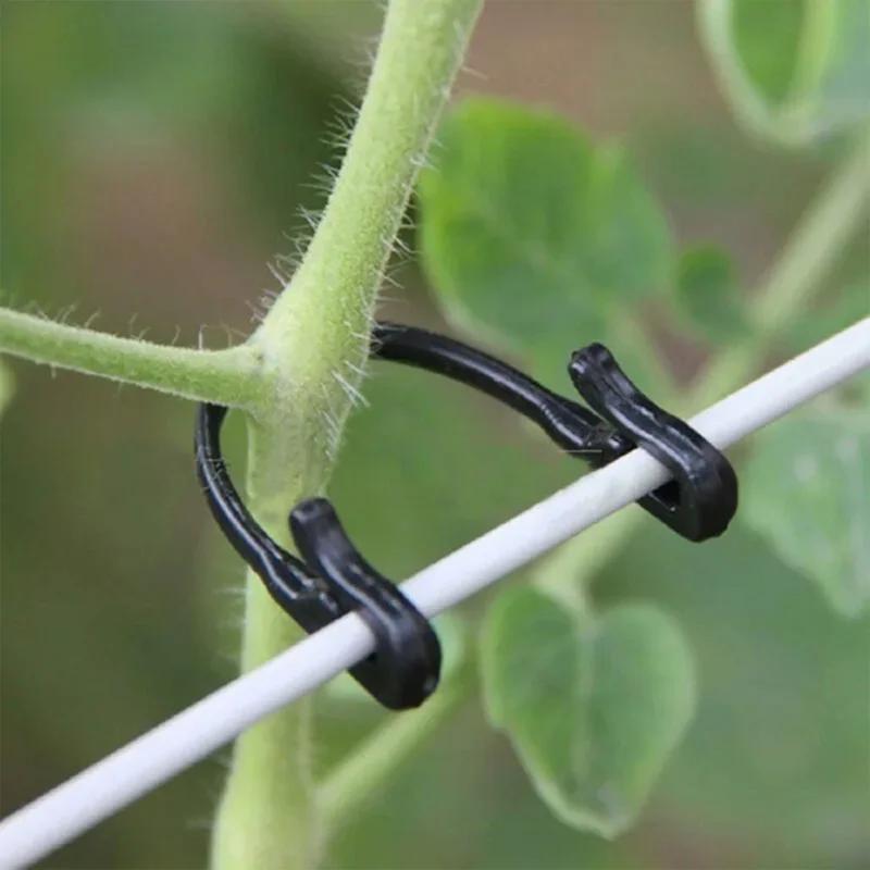 Vines Fastener Tied Clips Buckle Fixed Lashing Vegetable Grafting Support Clip Garden Plant Fixed Hook Garden Accessories