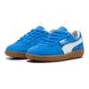 Puma Palermo Little Kid Hyperlink Blue Gum Kids Sneakers White 397273-11