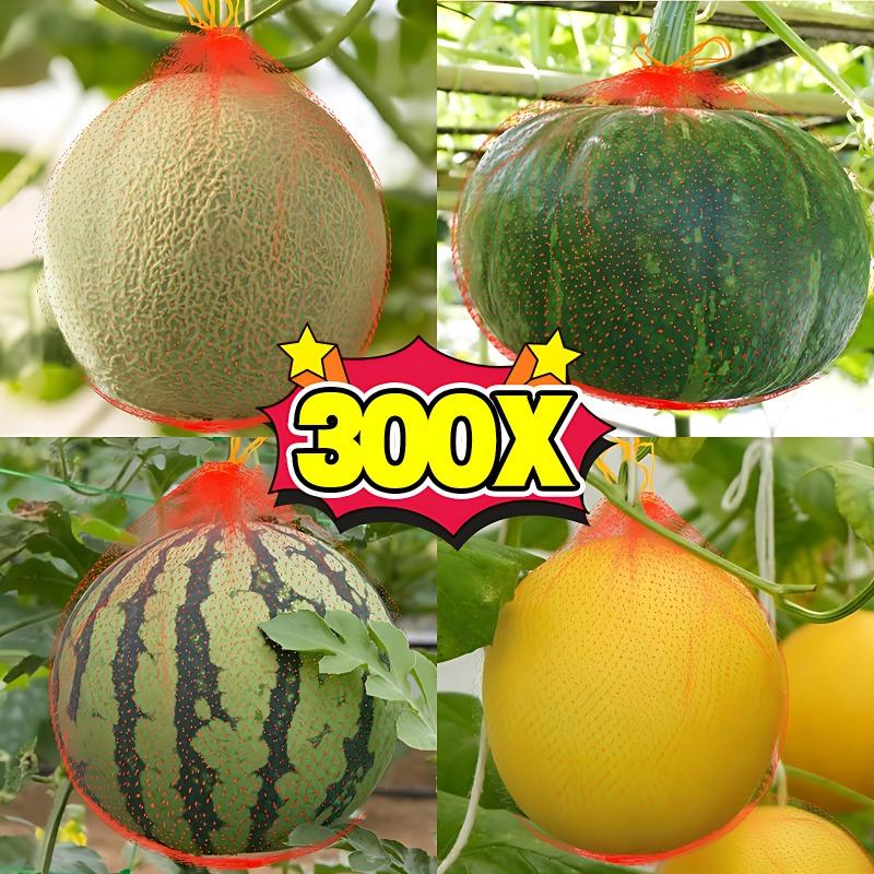 300/100PCS Hanging Garden Mesh Watermelon Grow Net with Straps Heavy-Duty Reusable Cantaloupe Pumpkin Support Bag for Orchards