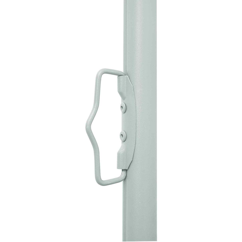 Retractable Side Awning Anthracite 300 x 100 cm Polyester