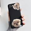 For Xiaomi Poco M3 Pro 5G Case Fashion Butterfly Soft Silicone Phone Cover For Xiaomi Poco M3 Pro PocoM3 M 3 M3Pro Bumper Funda