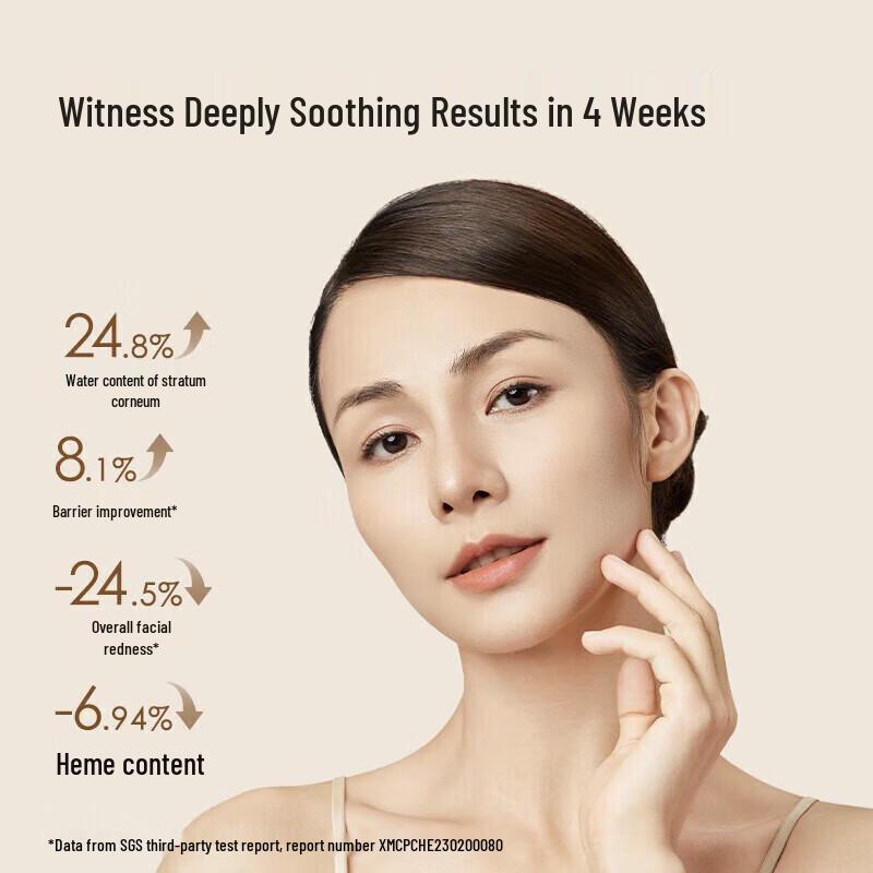 Seek Light Portable Facial Hydrating Mist Sprayer