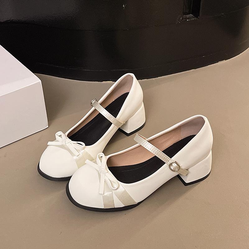 Simple and Gentle Retro Thick Heel Mary Jane Shoes Women's Autumn and Winter 2025 New Shallow Mouth Versatile Single Shoes