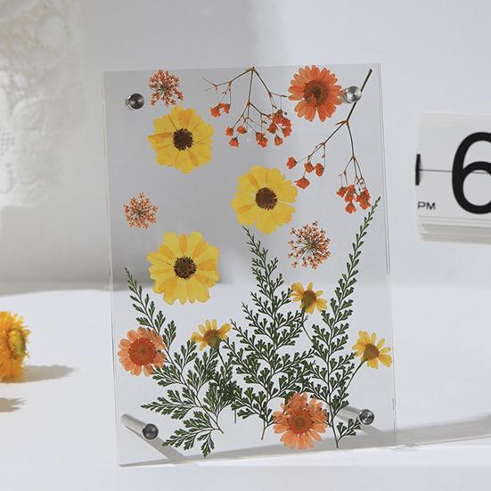 Acrylic Photo Frame Clear Picture Frames Tabletop or Wall Mount Display Frame