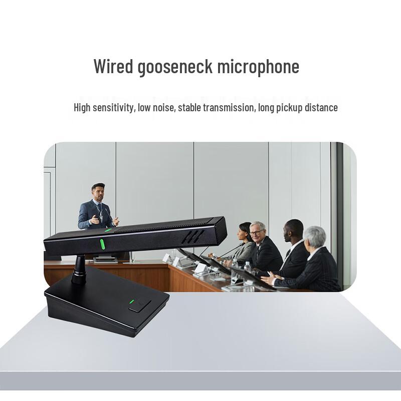 Runpu Professional Conference Audio System Set (CN version)