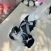 Pet Summer Mesh Strap Yorkshire Small Dog Lace Pet Cool Thin Dress Dog Dresses for Small Dogs Puppy Clothes