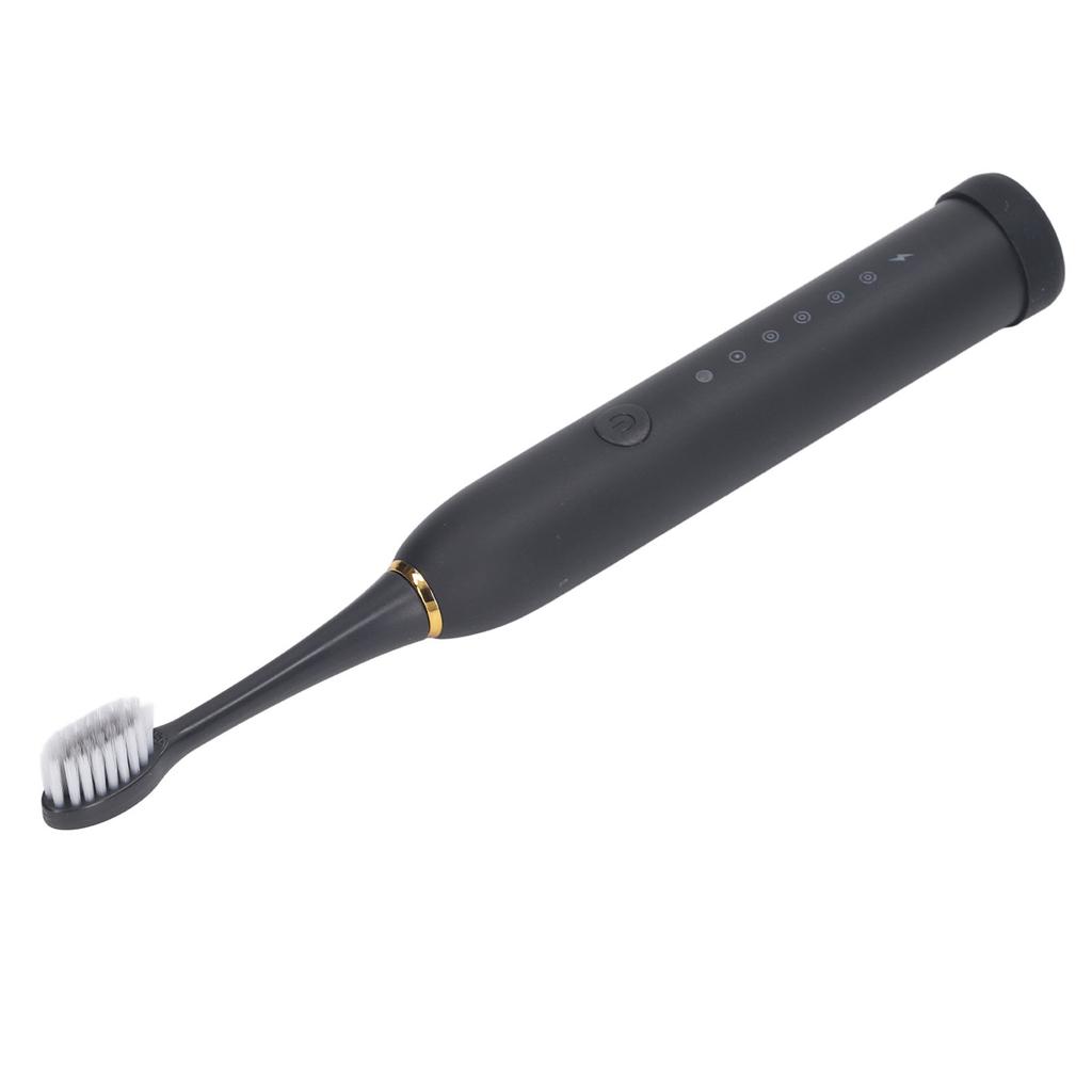 Electric Toothbrush IPX7 Waterproof 6 Modes Rechargeable Automatic Tooth Brush with 4 Heads Black