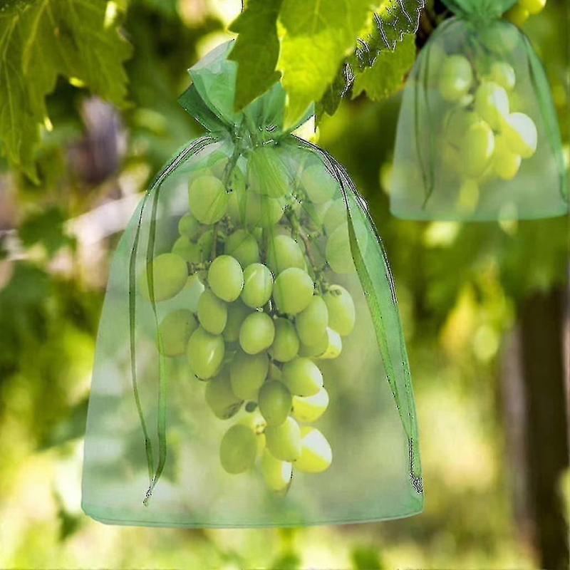 100pcs Bunch Protection Bag 30x20cm/10x15cm Grape Fruit Organza Bag With Drawstring