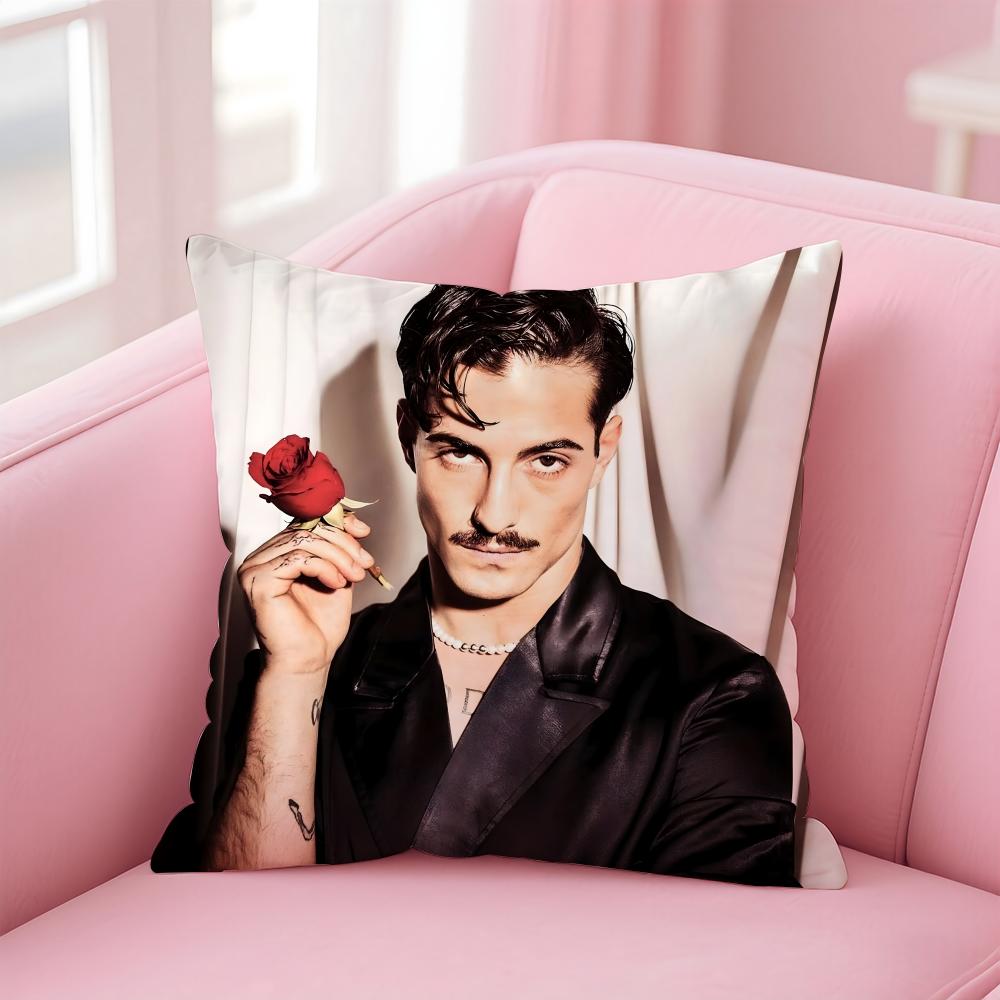 Singer D-Damiano D-David Cushion Cover Comfortable Reversible Pillow Cover Ideal for Car Sofa Bedroom & Beyond