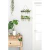 Mkono Plant Propagation Tubes, 2 Tiered Wall Hanging Plant Terrarium with Wooden Stand Vase Glass Planter Stations for Hydroponic Flower Cutting Home
