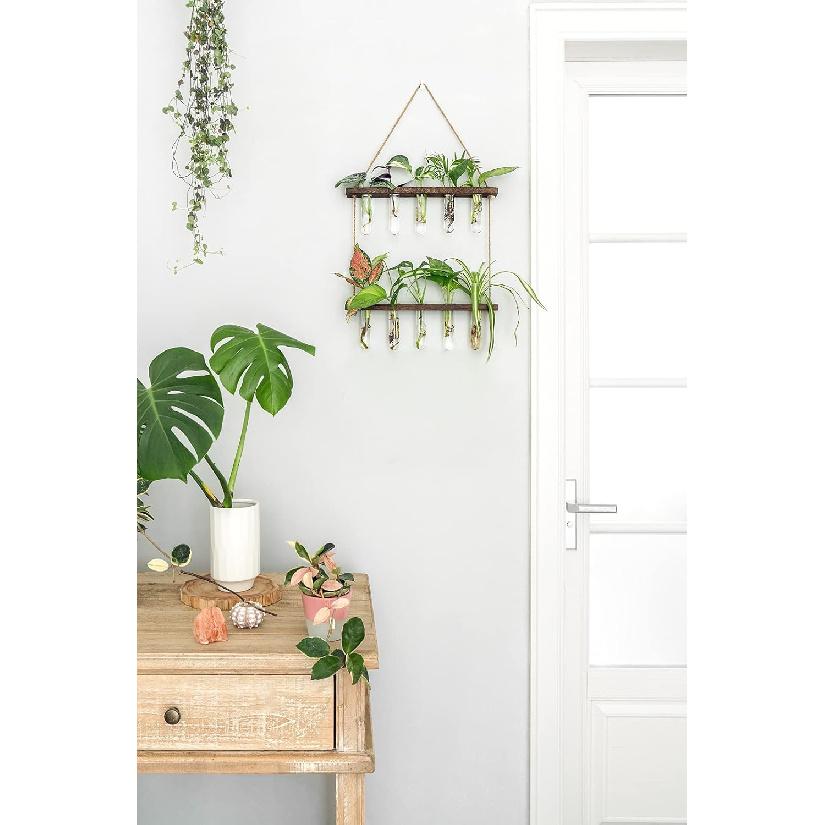 Mkono Plant Propagation Tubes, 2 Tiered Wall Hanging Plant Terrarium with Wooden Stand Vase Glass Planter Stations for Hydroponic Flower Cutting Home