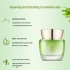 PECHOIN Water Hydrating Soothing Face Cream