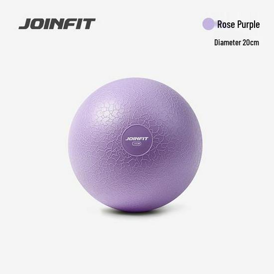 JOINFIT 20cm Thickened Anti-Burst Pilates Yoga Ball for Pregnant Women & Kids