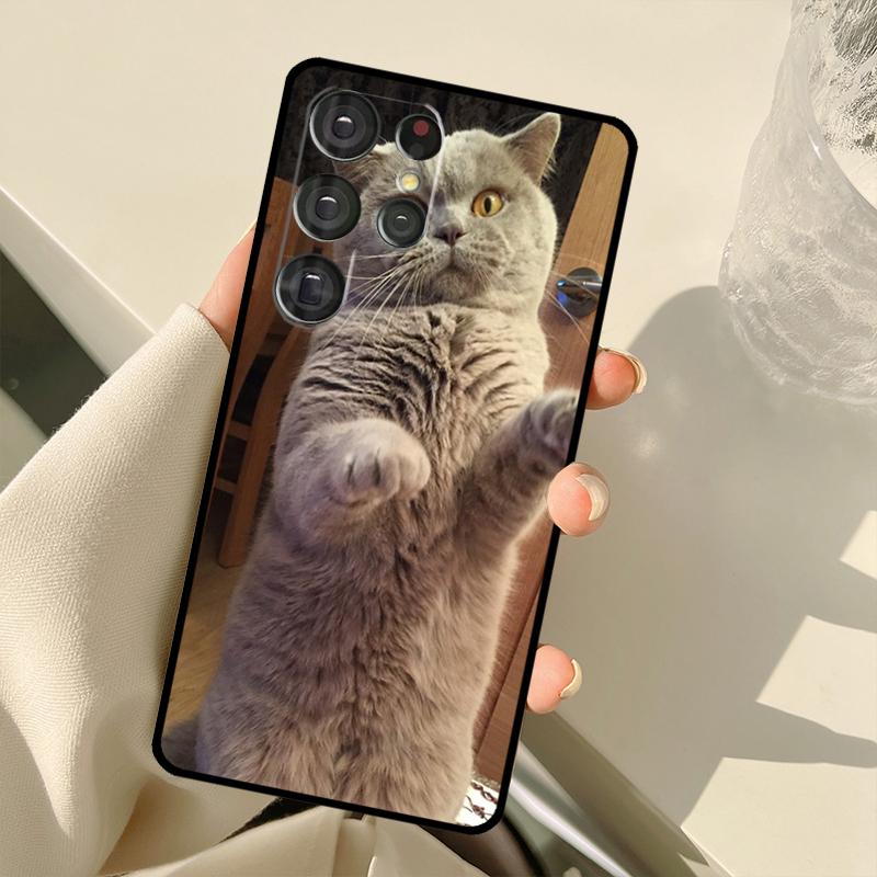 British Shorthair Cat Case For Samsung Galaxy S24 Ultra S21 S22 S23 S25 Ultra S9 S10 Plus S20 FE S25 FE Back Cover