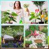 5 Stück Lustige Miniatur-Wurm-Pflanzen-Dekorationen Niedliches Design Topfpflanzen-Dekor DIY-Terrarium