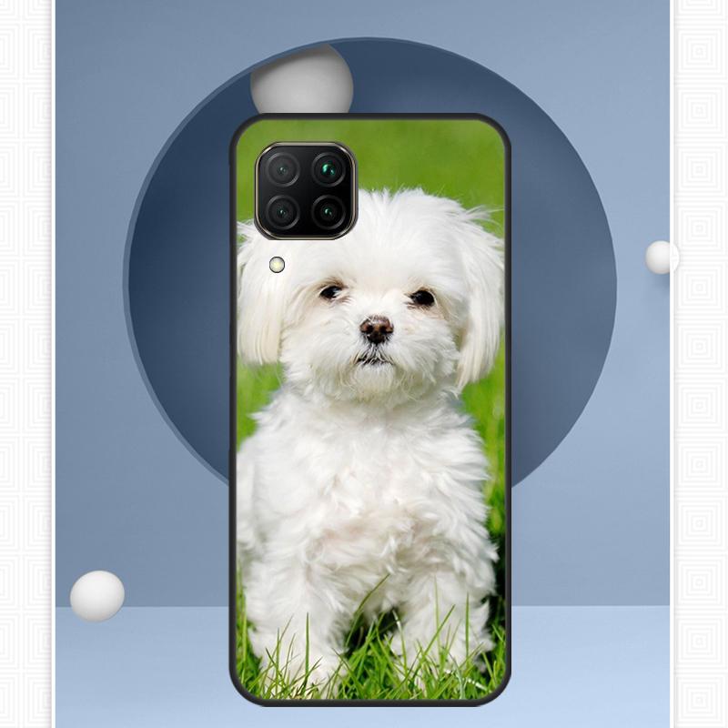 Maltese Dog Puppies For Huawei Nova Y91 Y60 Y70 Y72 Y90 Y61 12s 12i 11i 8i 10 9 SE P20 P40 Lite P30 P60 Pro Case