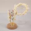Papaver Stem and Wooden Grass 20 Cm