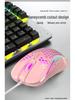 Ergonomic RGB Wired Lightweight Gaming Mouse with Hollow Design