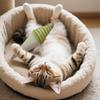 Catnip Toys For House Cats, Plush Swirls, Ice Cream Cones, Kittens, Interactive Toys, Chew Toys, Accessories, Stuffed Treats, Catnip