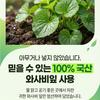 Tintin Nature Wasabi Leaf Extract 100% Authentic HACCP KFDA Certified, 120 Tablets, 2 Packs