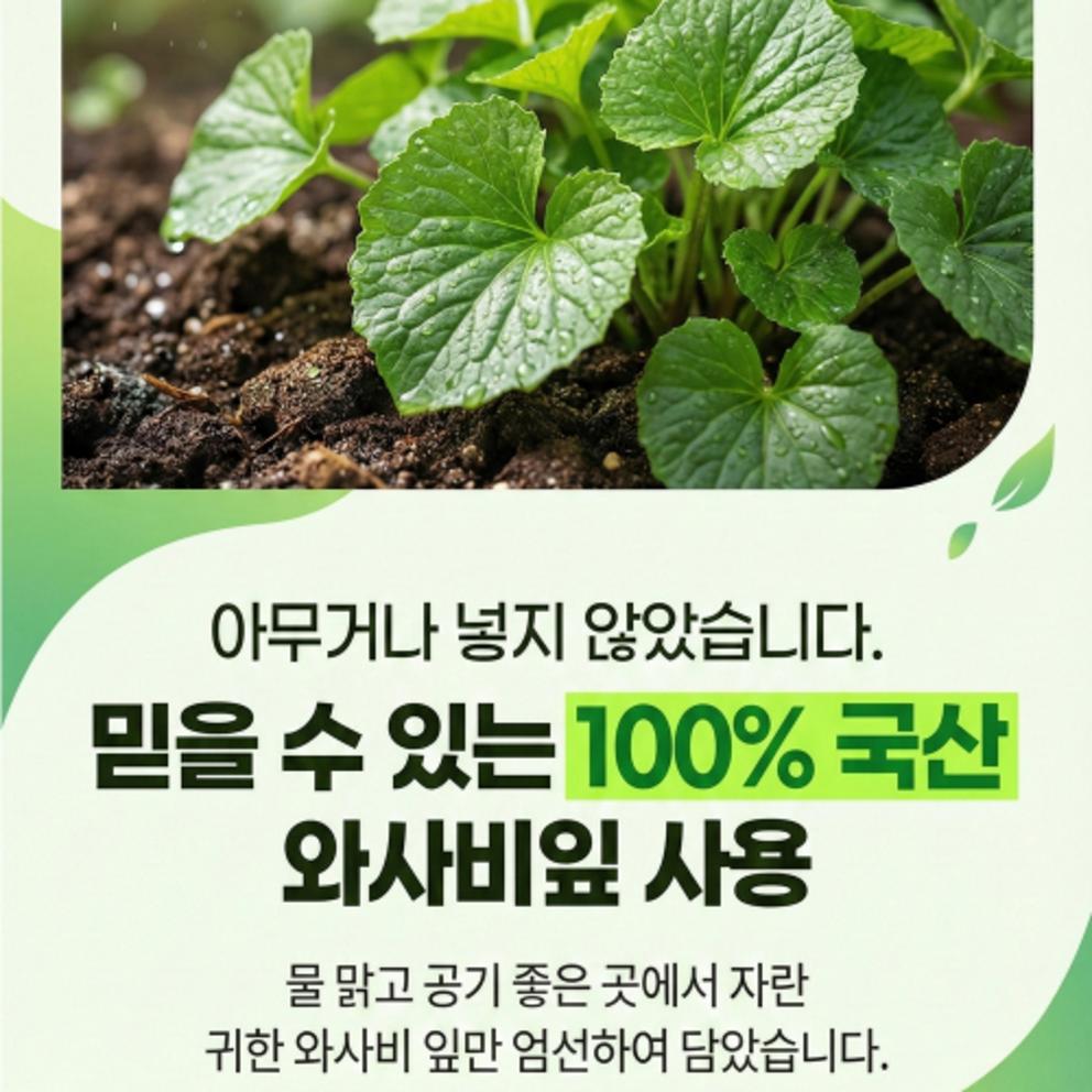 Tintin Nature Wasabi Leaf Extract 100% Authentic HACCP KFDA Certified, 120 Tablets, 2 Packs