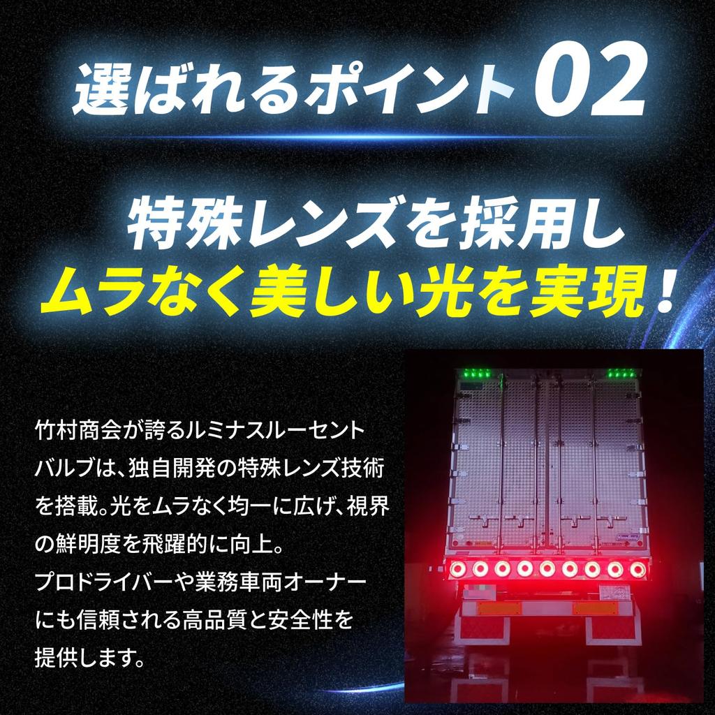 Takenous Takemura Shokai S25 LED Double Bulb 12V/24V BAY15d 180